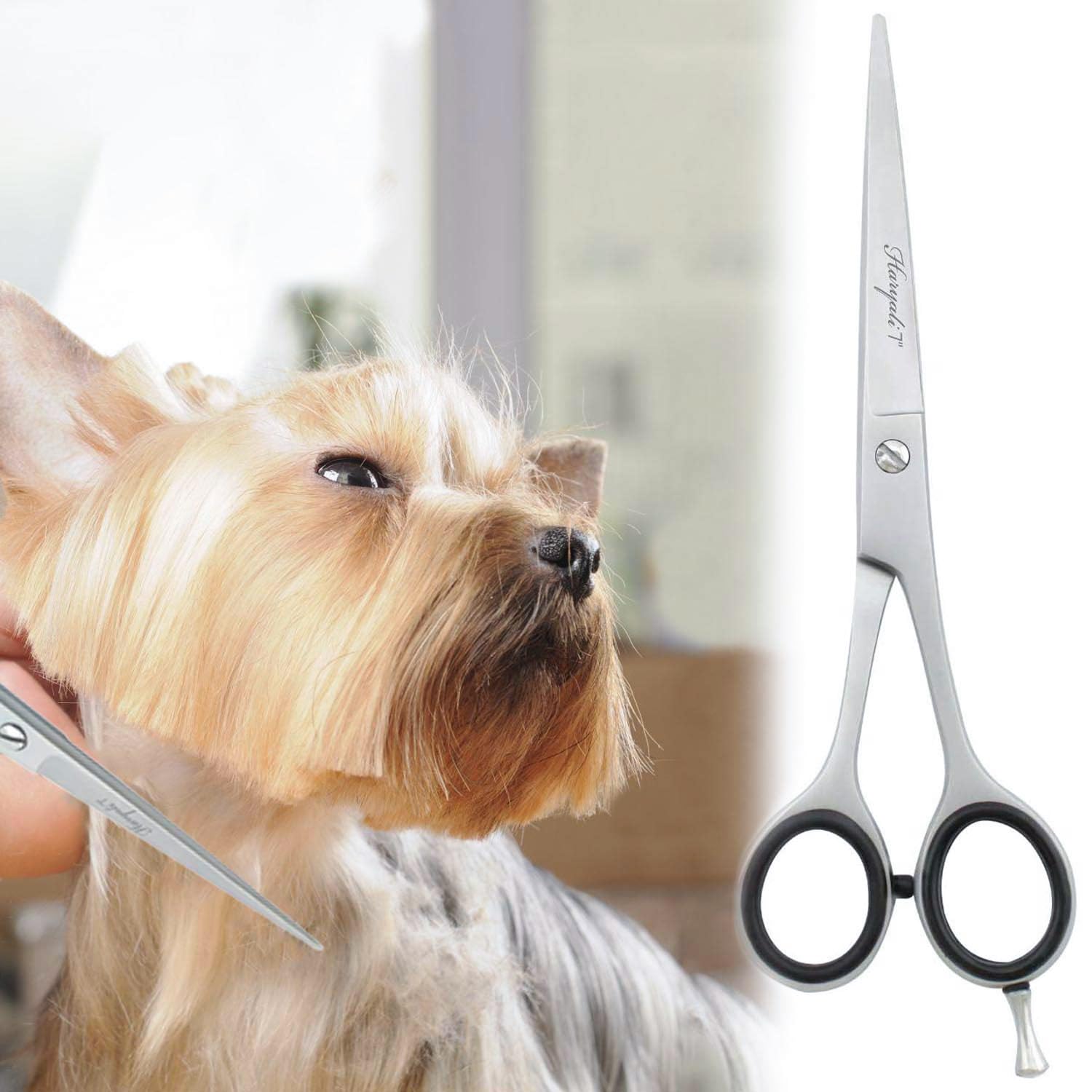 Haryali London Ciseaux de toilettage droits en acier inoxydable pour chien et chat 17,8 cm