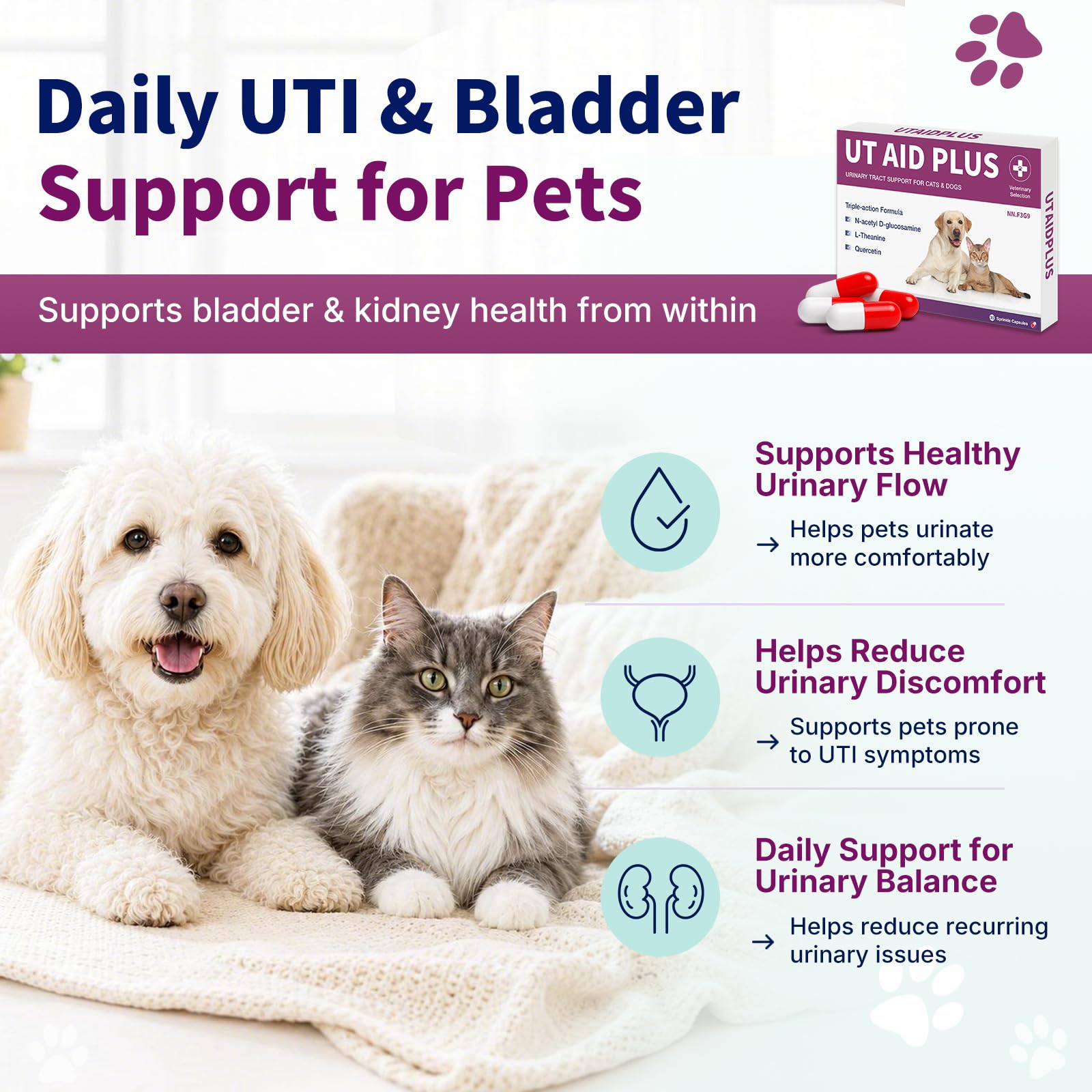 Snapklik.com : Natural UTI Treatment For Cats & Dogs Antibiotic-Free ...