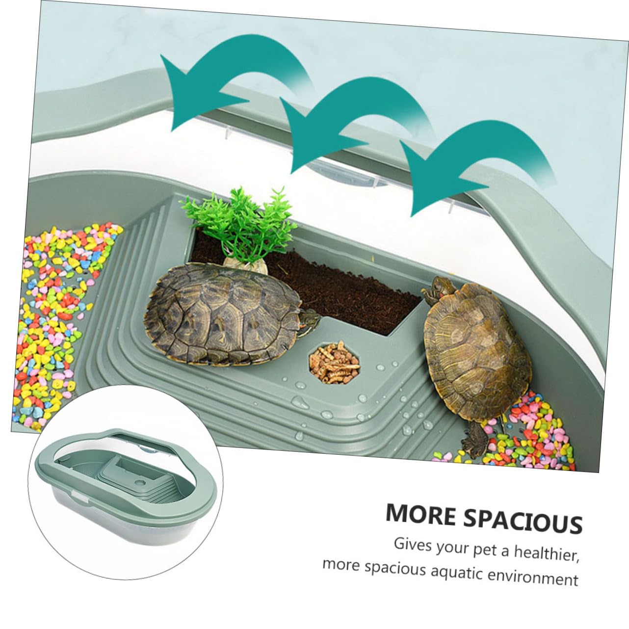 Terrario per Tartarughe in Plastico Verde, Habitat con Piattaforma per Basking, Area di Alimentazione e Nuoto, Fondo Antiscivolo | 5 Zone Interne, Area Anti-scivolo e Zona Alimentazione, Plastico Verde per Rettili