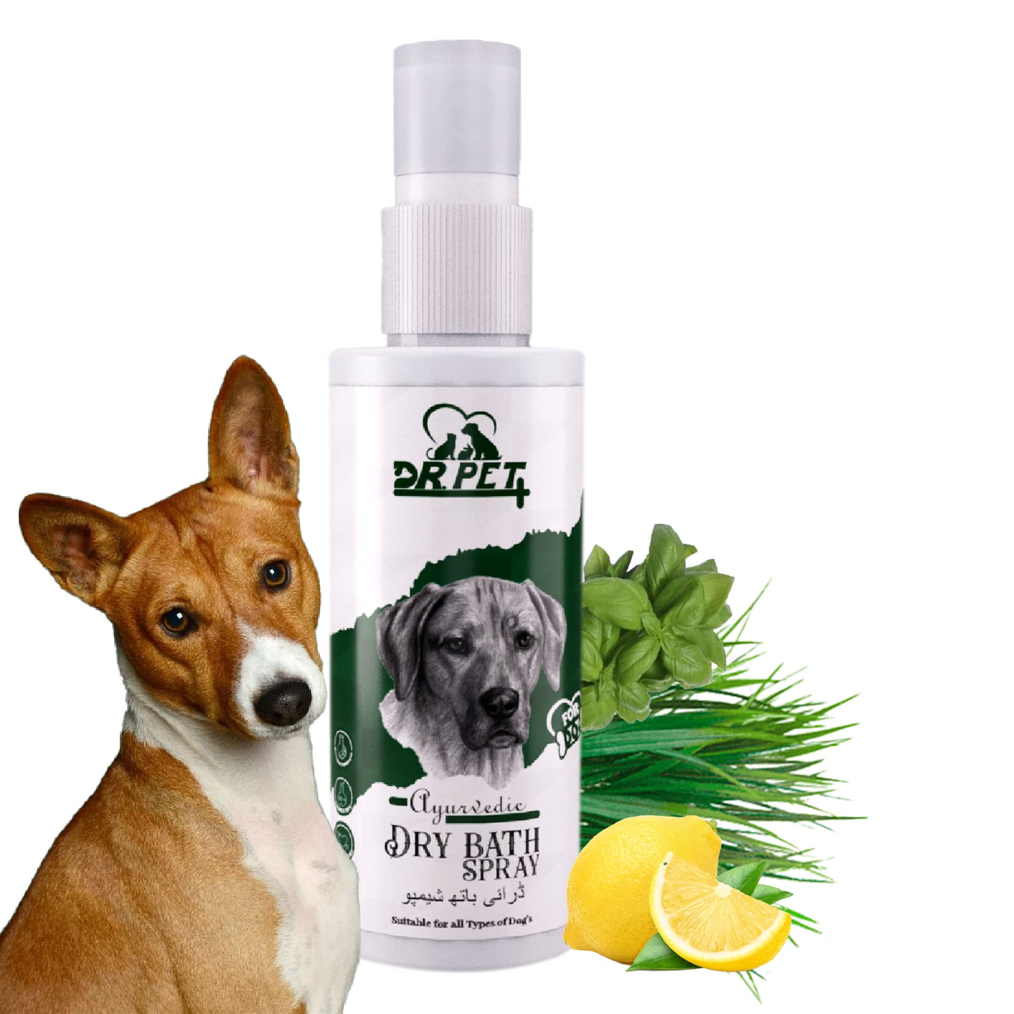 Dr. Pet Plus Luxury Professional Ayurvedic Dry Bath Spray Shampoo For Dog | Fresh Fragrance, Removes Dirt, Deeply Cleanse Soft Coat | Natural & Safe Waterless Dog Spray Shampoo All Types of Dog –100ml (B0C59CMCRS) Amazon Price History, Amazon Price Tracker