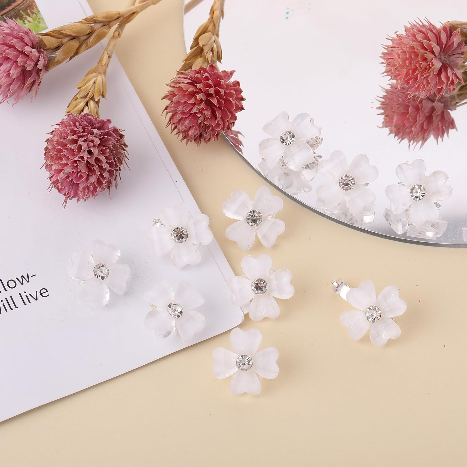 10 stuks mini-diamanthaarspelden, bloemenhaarspelden, kleine haarspelden, haaraccessoires voor dames en meisjes, haarstyling-accessoires voor fotografie, dagelijks gebruik, feest, bruiloft, zwart, 10 10 stuks mini-diamanthaarspelden, bloemenhaarspelden, kleine haarspelden, haaraccessoires voor dames en meisjes, haarstyling-accessoires voor fotografie, dagelijks gebruik, feest, bruiloft, zwart, 10