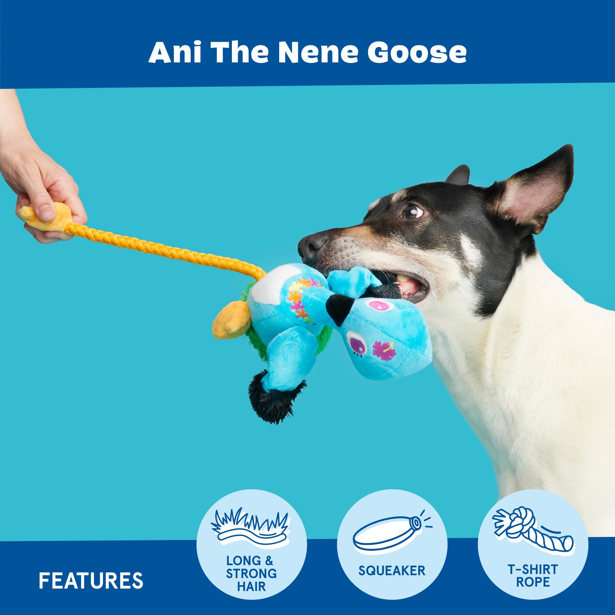 BARK Dog Toy Ani the Nene Goose, Squeaky Toy for Dogs Hawaiian Bird Plush, Pull-Through T-Shirt Rope For Tugging Play - Image 3