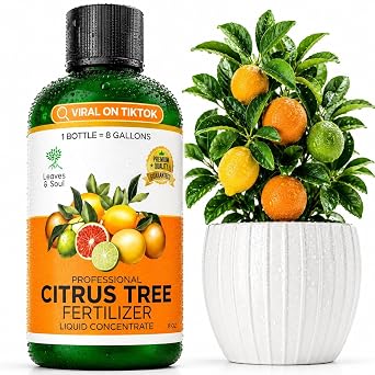 Leaves & Soul Citrus Tree Fertilizer, 6-4-6 Liquid Citrus Plant Food, 8 oz
