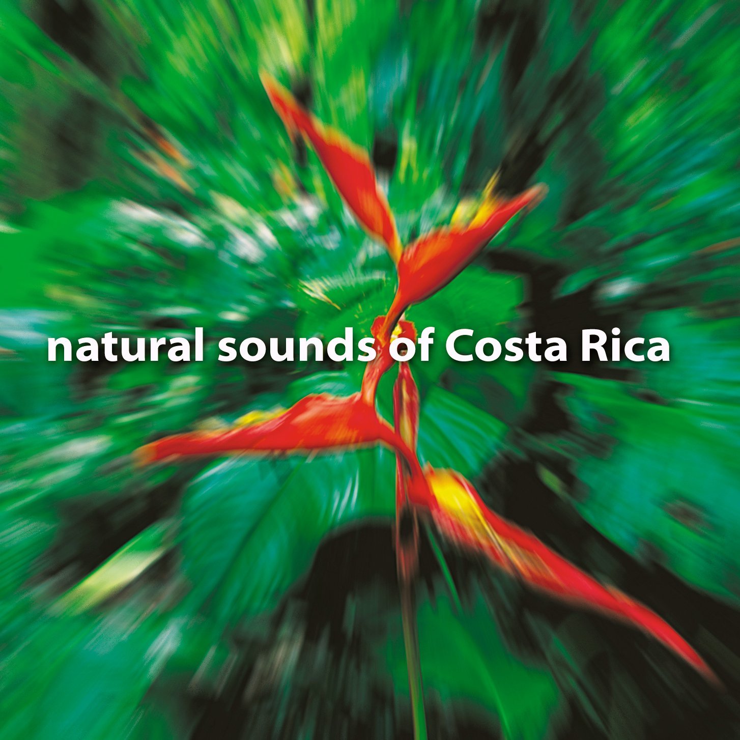 Natural Sounds of Costa Rica [Audio CD]