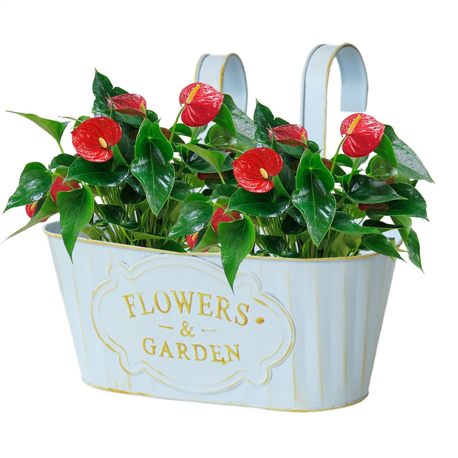 Yiohejy Flower Boxes for Railings | Metal Hangable Deck Planter | Metal Hangable Flower Boxes for Outside Garden Porch, Window Houseplant Pots