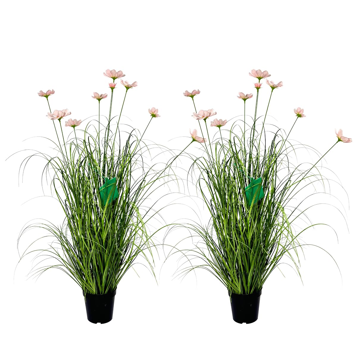 product_img5