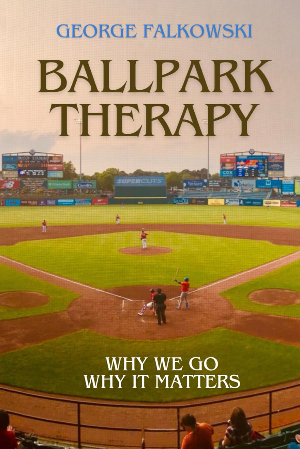 Ballpark Therapy: Why We Go, Why It Matters
