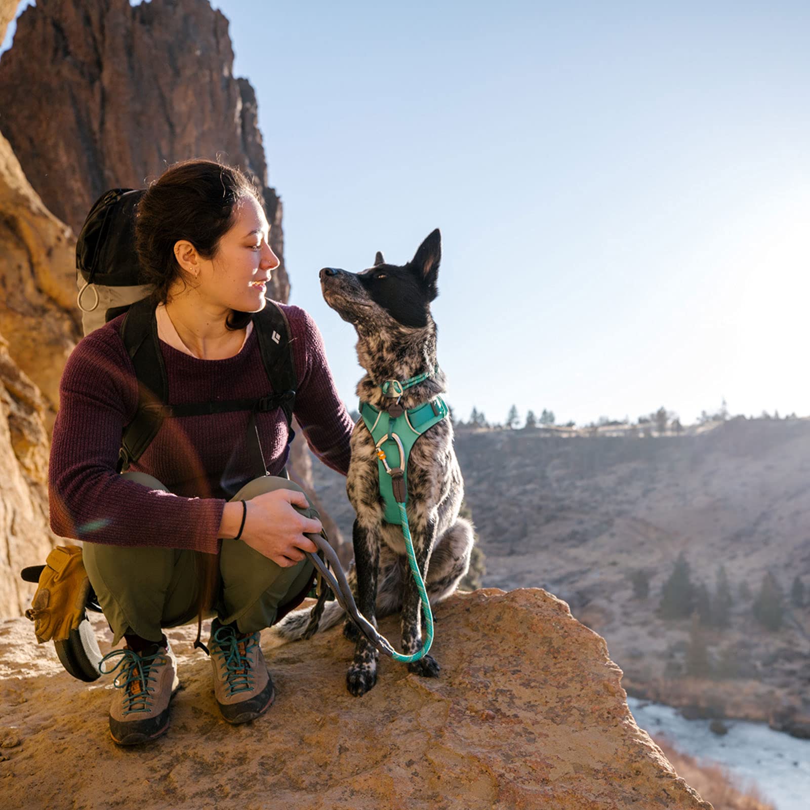 RUFFWEAR Knot-a-Collar, reflektierendes und verstellbares Hundehalsband mit Seil, 20"-26", Aurora Teal