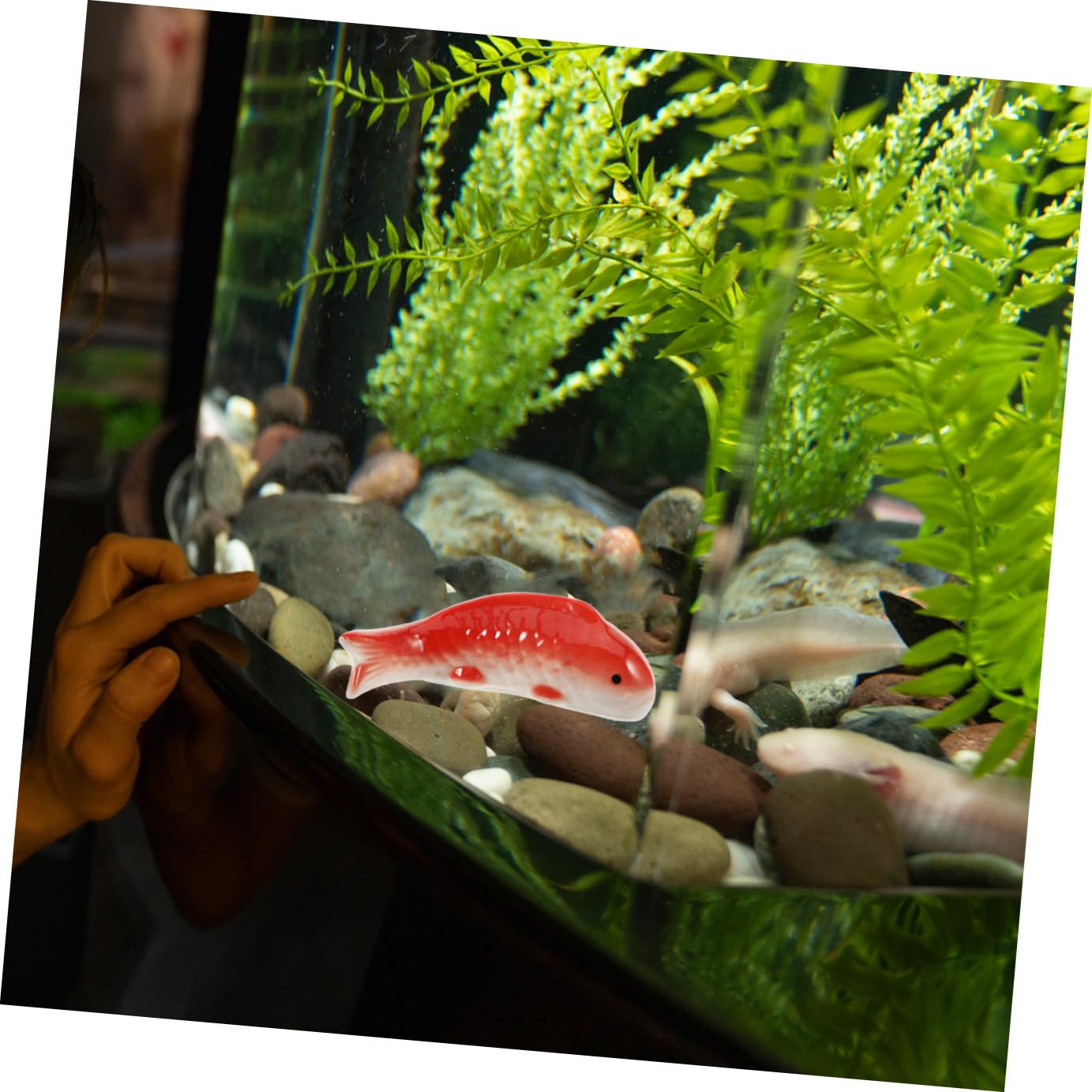 HANABASS 4stücke Schwimmende Keramikfische Deko Realistische Aquarium Dekoration Für Fischbecken Langlebiges Unterwasser-Handwerk Stilvolle Ornamente Für Aquarien Und Terrarien Keramik