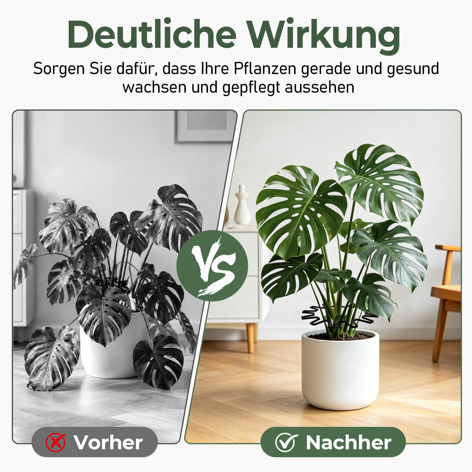 WUQNGI Pflanzenstütze, 10 Stück Staudenhalter Rund, Einstellbare Hortensien Stütze Ø 21,5 cm, Robust Pflanzenhalter für Garten als Staudenstütze, Rosenstütze, Blumenstütze, Pfingstrosen Halterung
