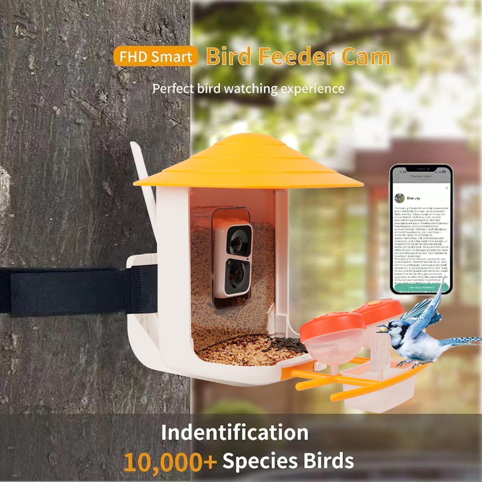 Cámara inteligente para comedero de pájaros con panel solar, cámara de observación de comedero de pájaros al aire libre, cámara de casa de pájaros