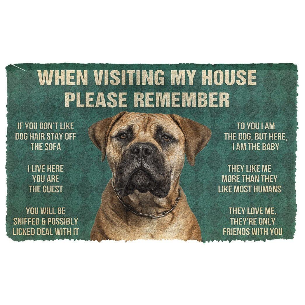 NA Door Mats Indoor front Please Remember Bullmastiff Dog's House Rules Doormat house warming gifts new home decor