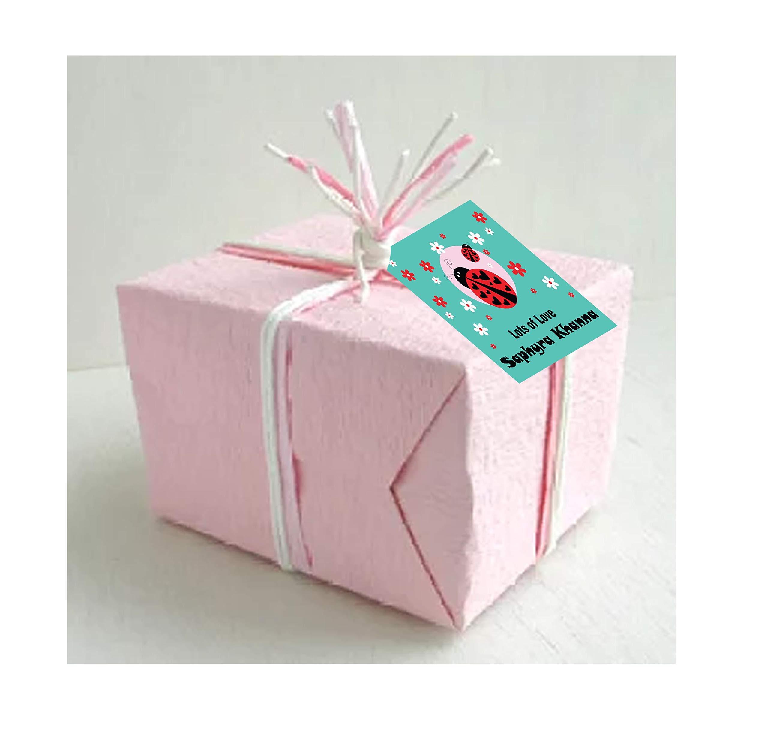 Chatterbox Labeling Solutions - Gift Tags - Lady Bug Theme - 10 Pieces