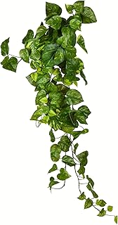 Vickerman Everyday 39