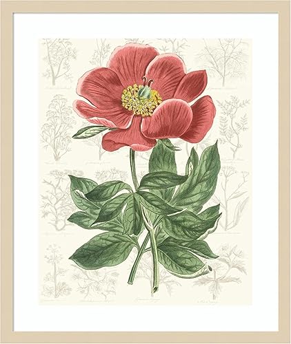 Miniatura 14 de Amanti Art Vision Studio - Lienzo decorativo para pared, 24 x 20 pulgadas, diseño de jardín de flores de peonía, arte de pared de flores, decoración