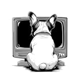 TvStartup Inc