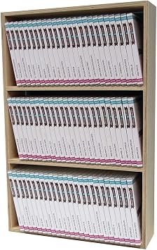 Stamp-n-Storage Shelf Unit - Mega Stamp Case Shelf with Back - Wall Mount