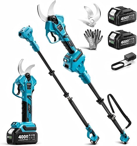SEESII 2-in-1 Pole Pruning Shears 1.6'' Cut, 20V Cordless, 4.9-9 ft Reach