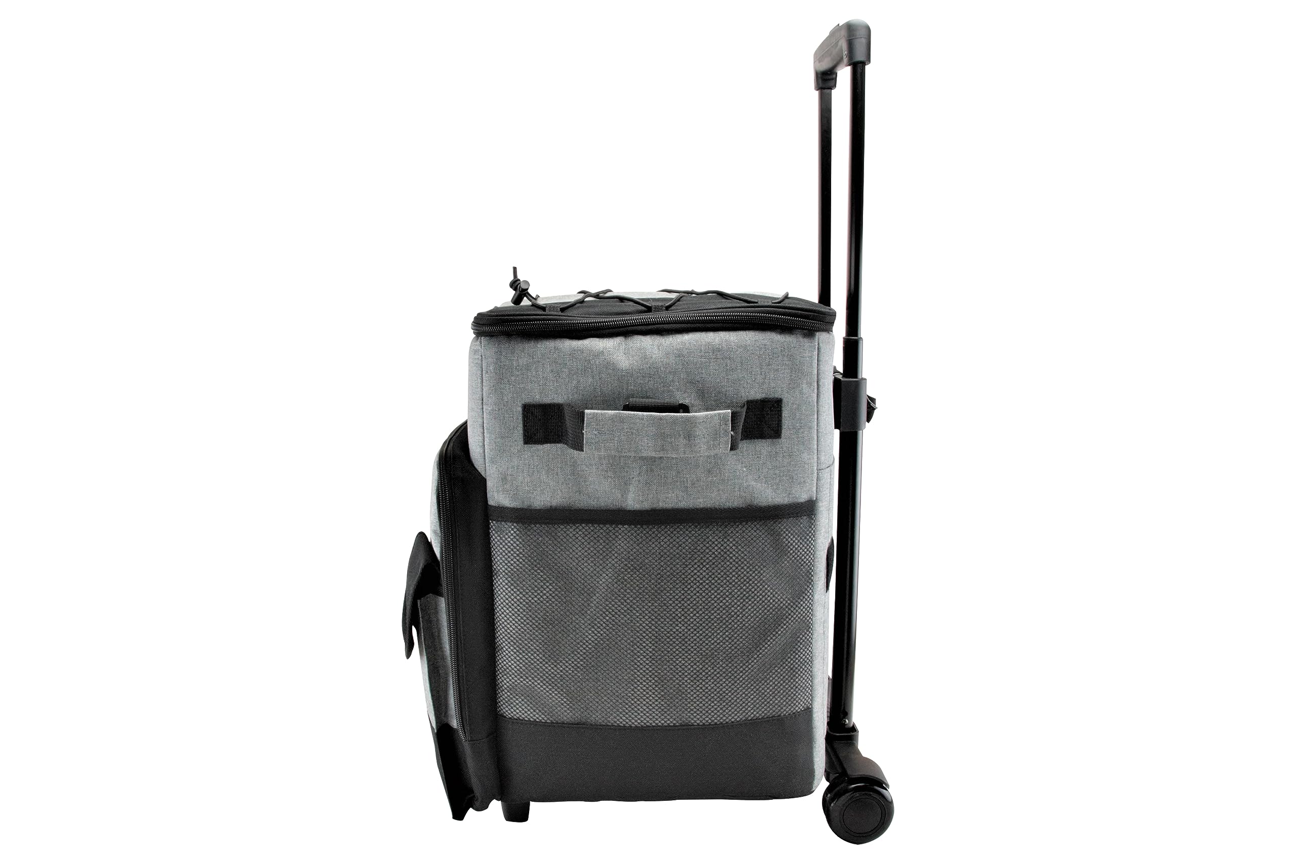 apollo THE HOUSEWARES BRAND Borsa termica da 35 l, borsa termica da picnic grande borsa morbida per esterni, campeggio, barbecue, viaggi, portatile, mantiene le bevande fresche per 6 ore, grigio