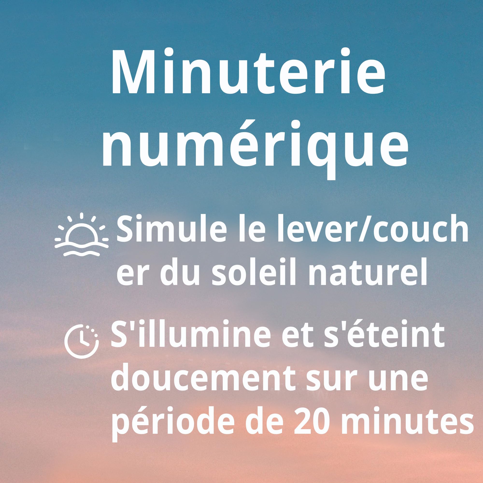 HappyBird Minuteur numérique | Minuteur programmable, fonction gradation progressive | Spécialement conçu pour les lampes à oiseaux | Régulation de la lumière particulièrement douce | Simule le lever