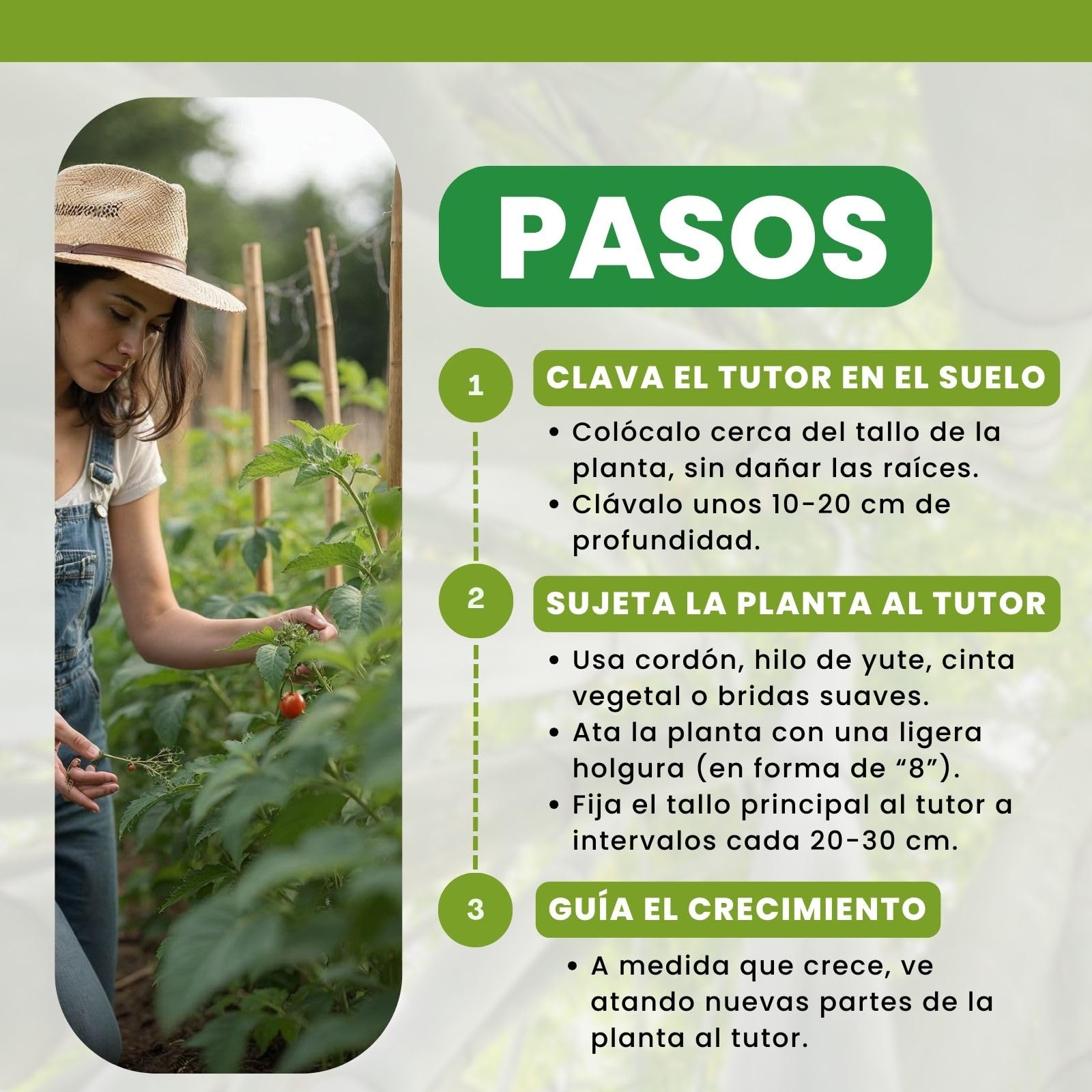 PLANTAWA Tutores de Bambú 90 cm Paquete 25 Unidades Ø 10-12 mm | Soporte para Plantas, Hortalizas, Tomates y Tomateras | Tutores para Plantas de Instalación Fácil. Cañas de bambú Resistentes