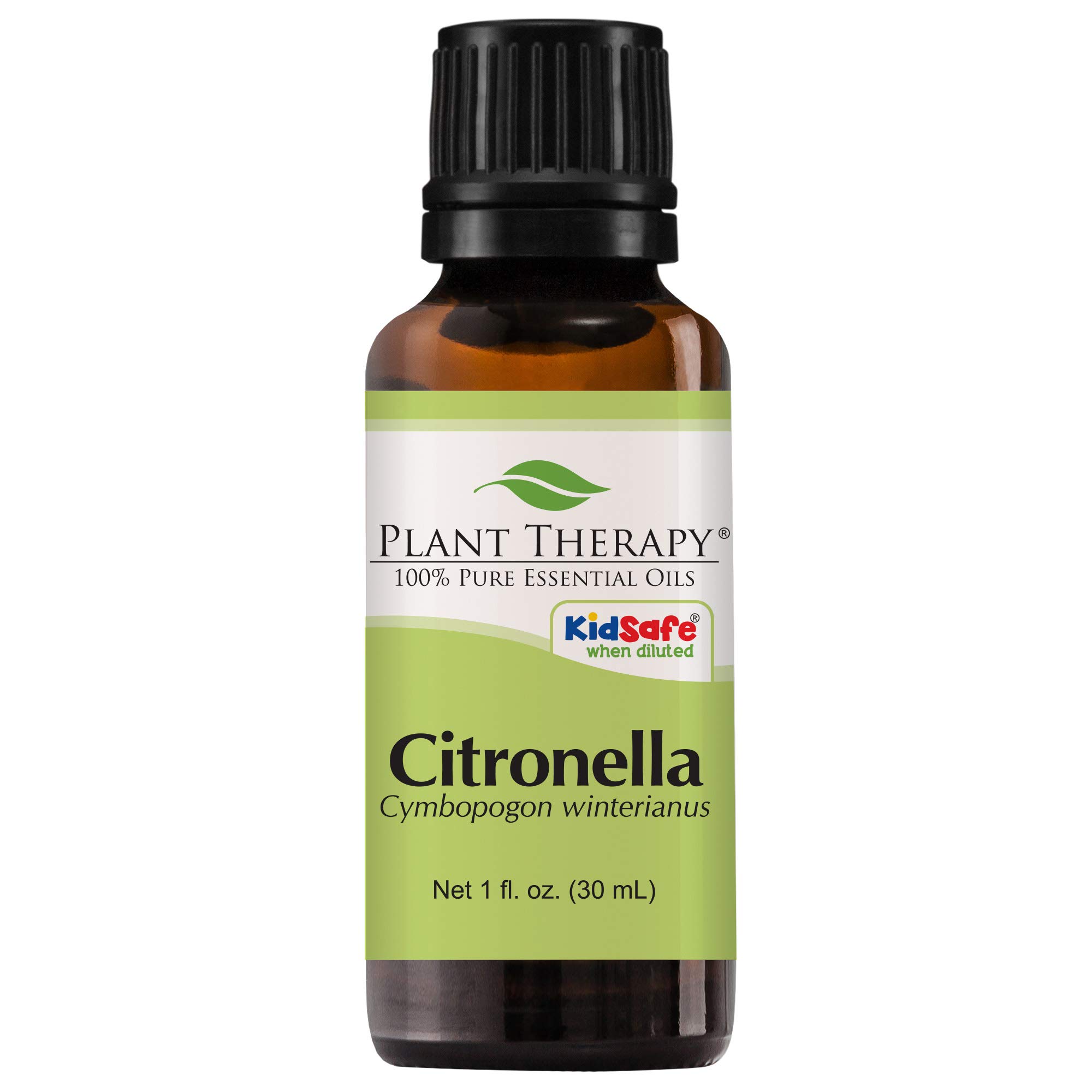 Plant Therapy Citronella Essential Oil 30 mL (1 oz) 100% Pure, Undiluted, Citronella Oil for Aromatherapy, Diffuser, Candle Making, Skin Care, Outdoors, Therapeutic Grade
