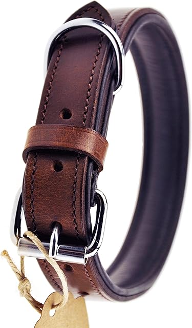 Schnüffelfreunde Obroża skórzana dla psa I Obroża dla psów ze skóry (L - 36-45cm, Brązowa)