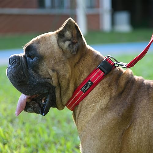 Miniatura 6 de EXCELLENT ELITE SPANKER Collar reflectante para perro, clásico, suave, acolchado, de nailon transpirable, ajustable, con hebilla de liberación