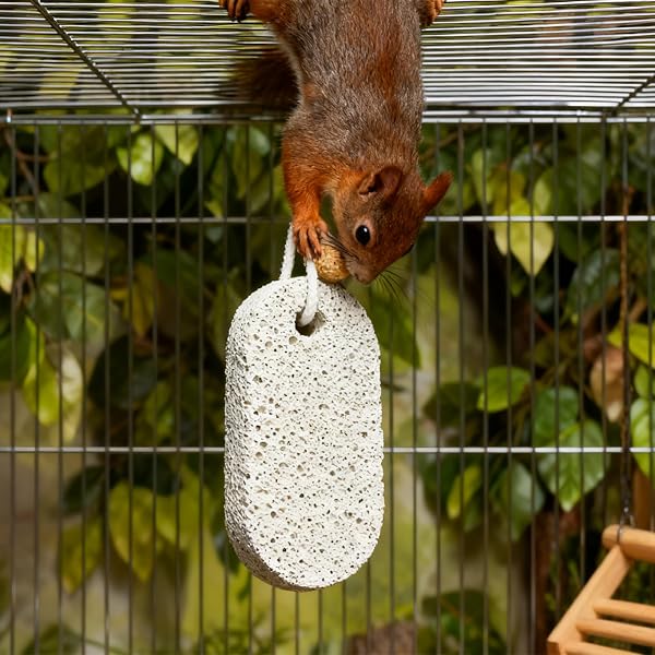 4 Pezzi Pietra per la Masticazione Degli Animali Domestici Masticabili per Animali Domestici Pietra Minerale al Calcio per Criceti Conigli e Cincillà Sicure e Naturali per Dentale (4) - 5