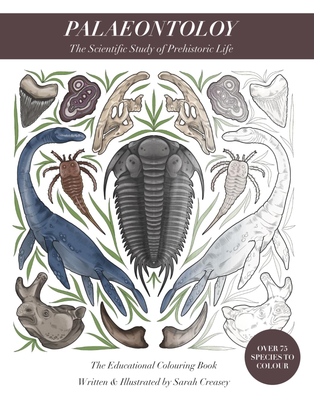 Palaeontology: The Educational Colouring Book