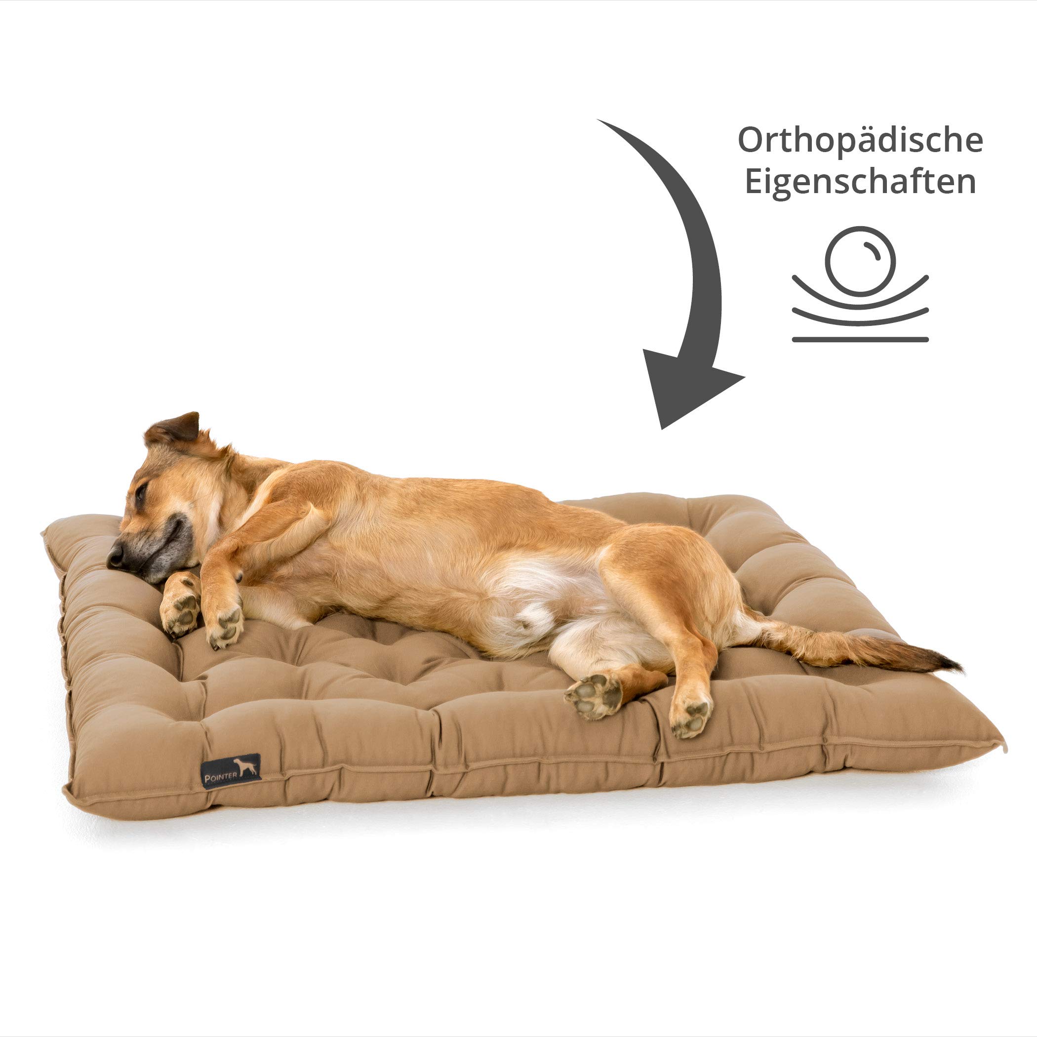 Pointer - Cuscino/Cuccia da Viaggio Urban per Cane, Morbido e Confortevole, Vari Formati e Colori, qualità Premium, Lavabile a 95 Gradi