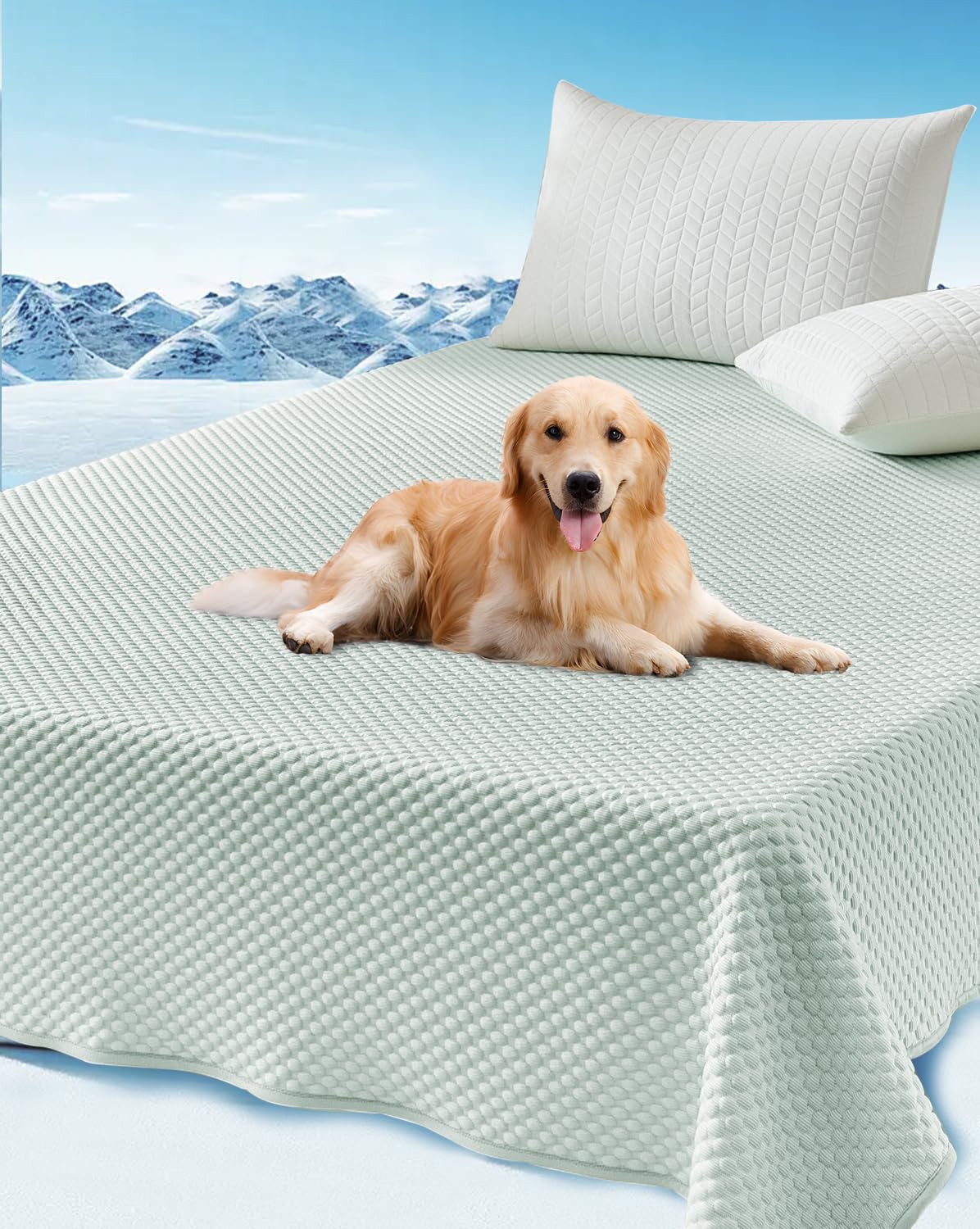 Lekesky kühlmatte Hund Waschbares Hundematte Bett Sommer Haustier Kühlmatte (Hellgrün 260x206CM)