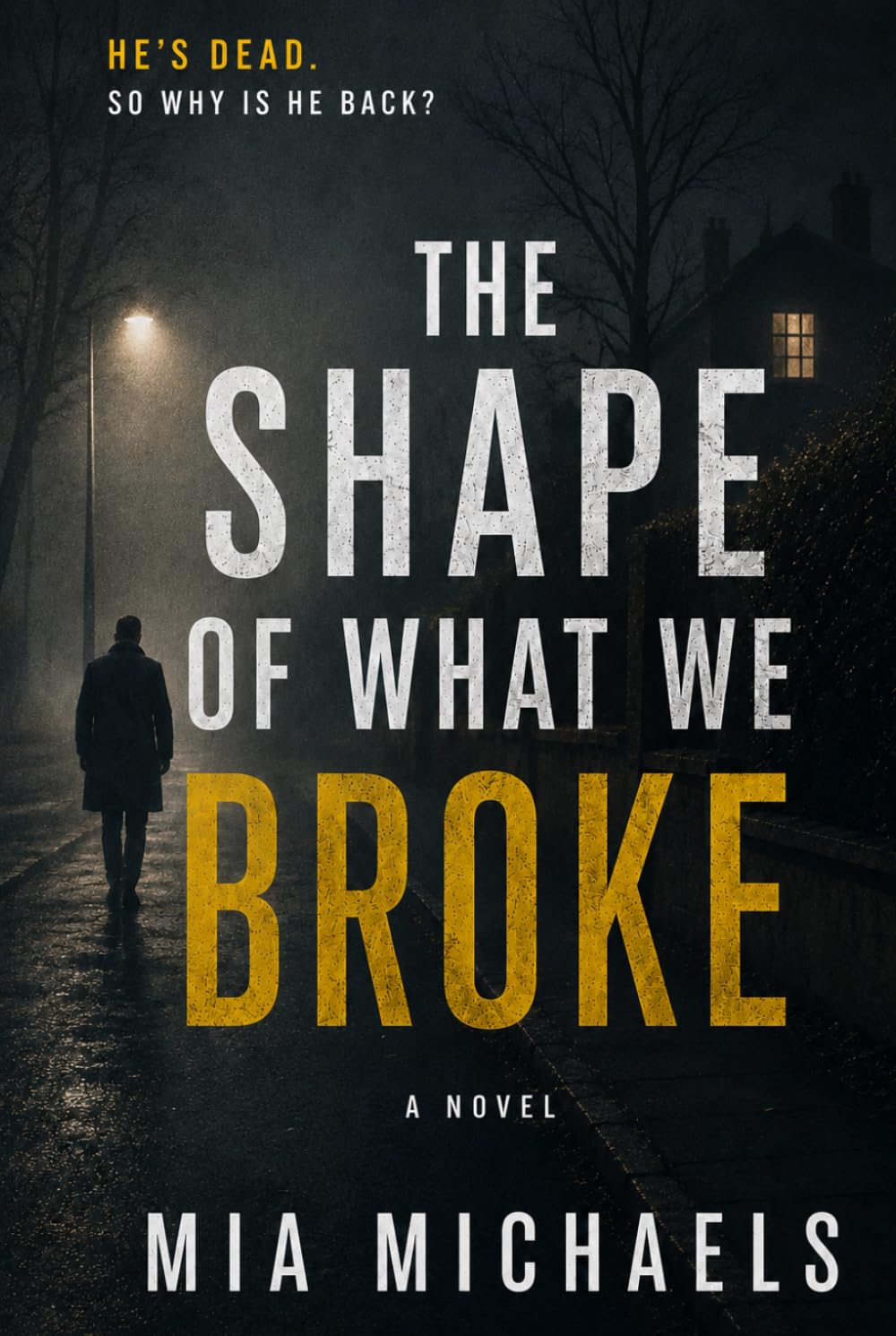 The Shape of What We Broke