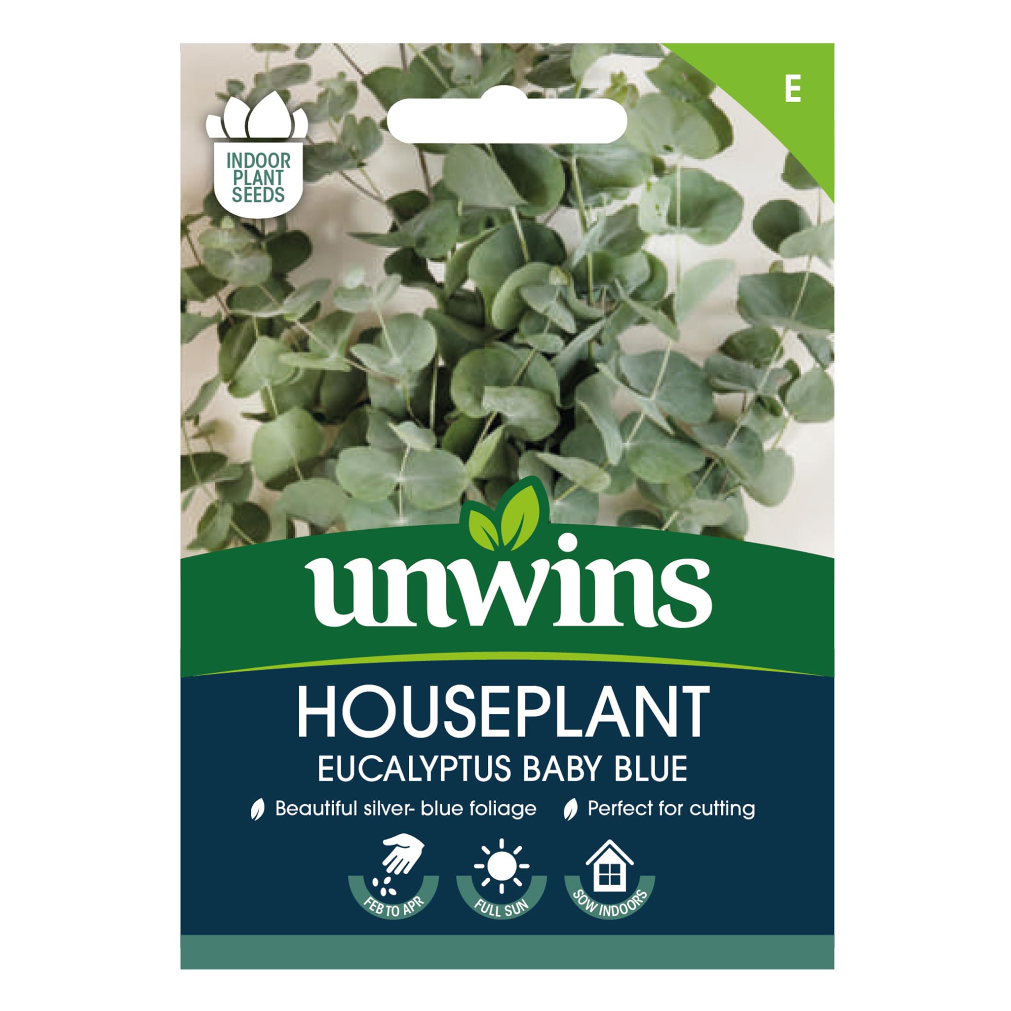 Houseplant Eucalyptus Baby Blue