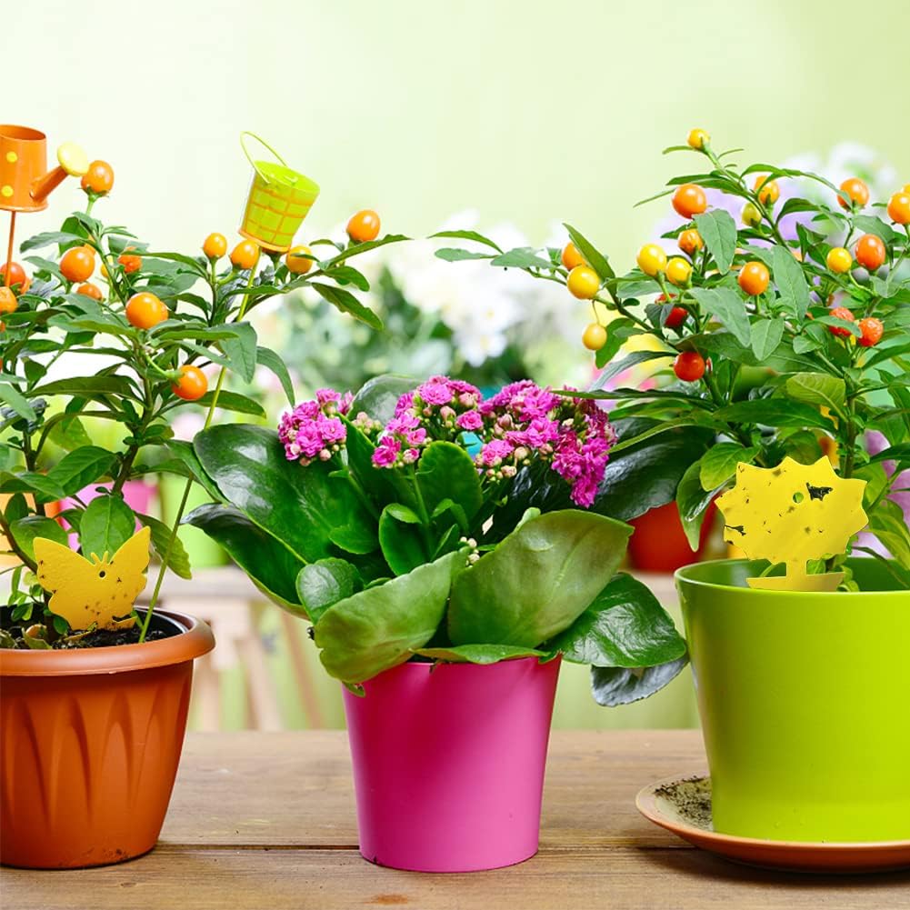 50 Pack Yellow Sticky Traps, Fruit Fly Fungus Gnat Trap for Indoor/Outdoor Use, Houseplant Sticky Bug Insect Catcher Glue Trappers 50 Pack Yellow Sticky Traps, Fruit Fly Fungus Gnat Trap for Indoor/Outdoor Use, Houseplant Sticky Bug Insect Catcher Glue Trappers