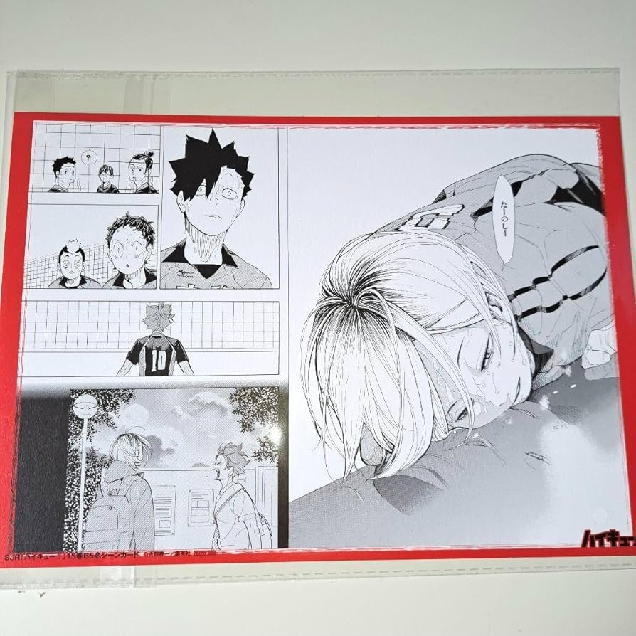 ハイキューリミックス1〜8,10〜17  16冊　特典付き ハイキューリミックス1〜8,10〜17 16冊 特典付き - メルカリ