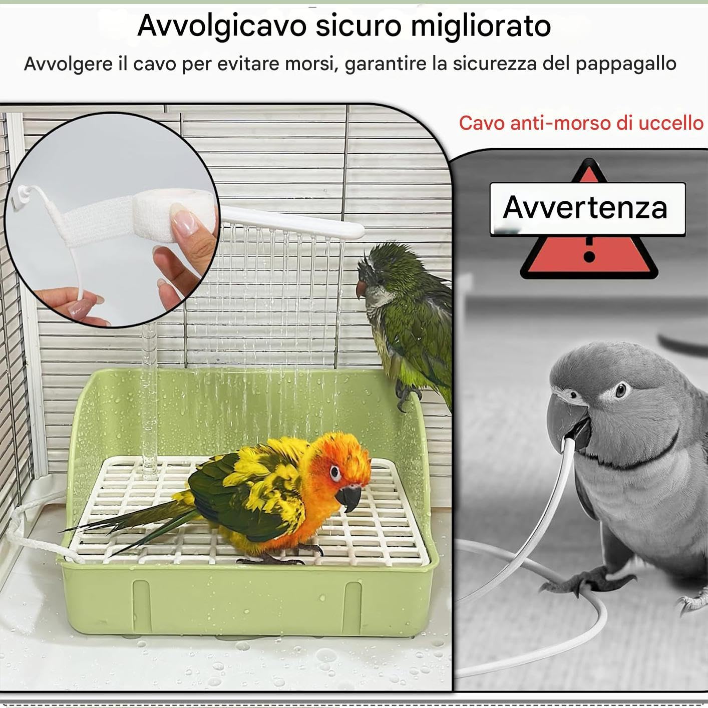 Generico Salle de Bain Douche pour Oiseaux | Récipient de Bain d'oiseaux | avec pompe | Grand récipient pour Perroquets, accessoire pour Cage pour perruches Calopsitte Fringuelli Moineau Ara Conuri