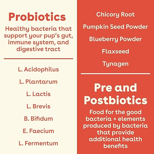Miniatura 5 de Pupford Suplemento para la salud intestinal e inmunidad para cachorros y perros adultos fabricado en los Estados Unidos aprobado por veterinarios