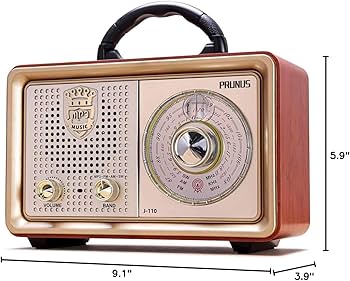 Amazon.com: PRUNUS J-110 Radio Portable AM FM,Transistor Plug in