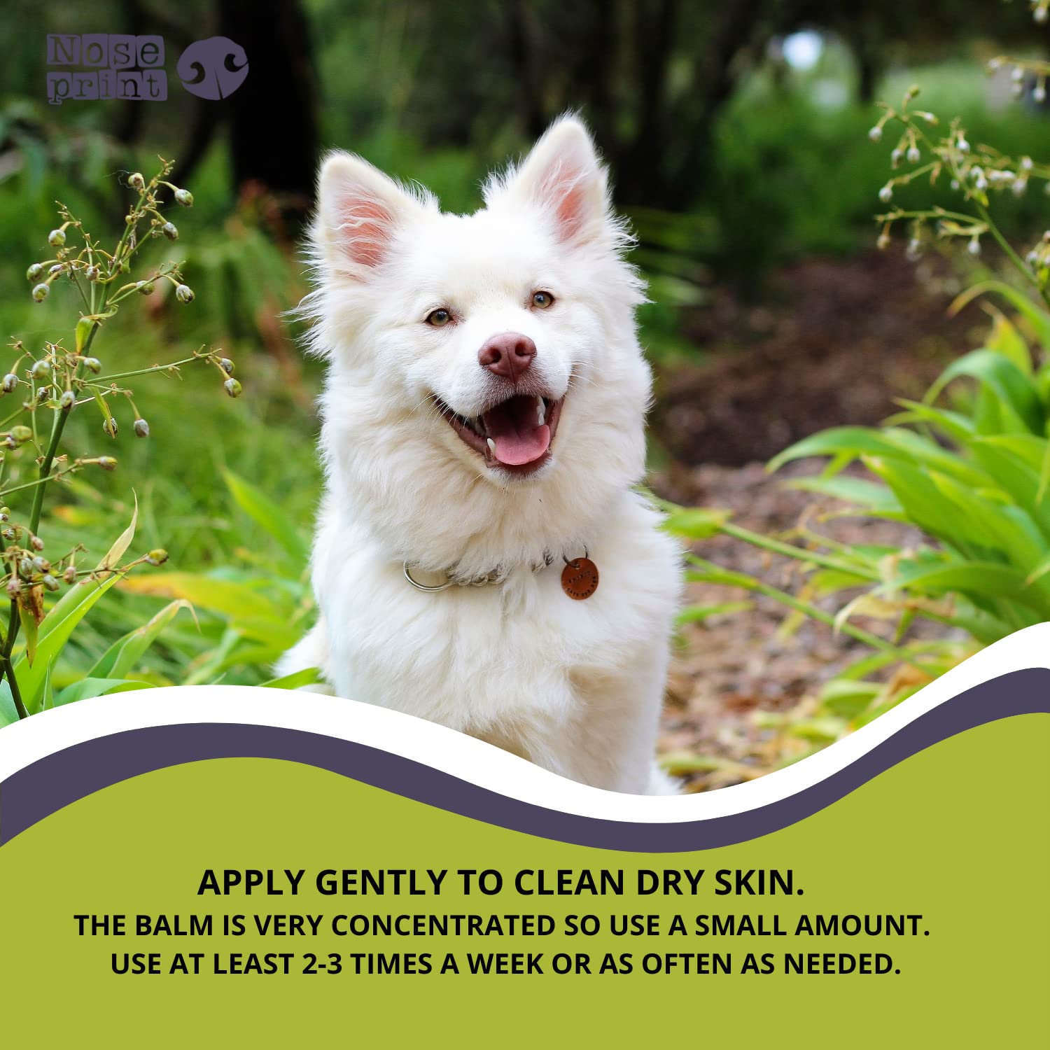 100% Natural Cat & Dog flea treatment- Flea Treatment for Dogs - Flea and Tick Treatment - Dog Flea Treatment in balm - Image 3