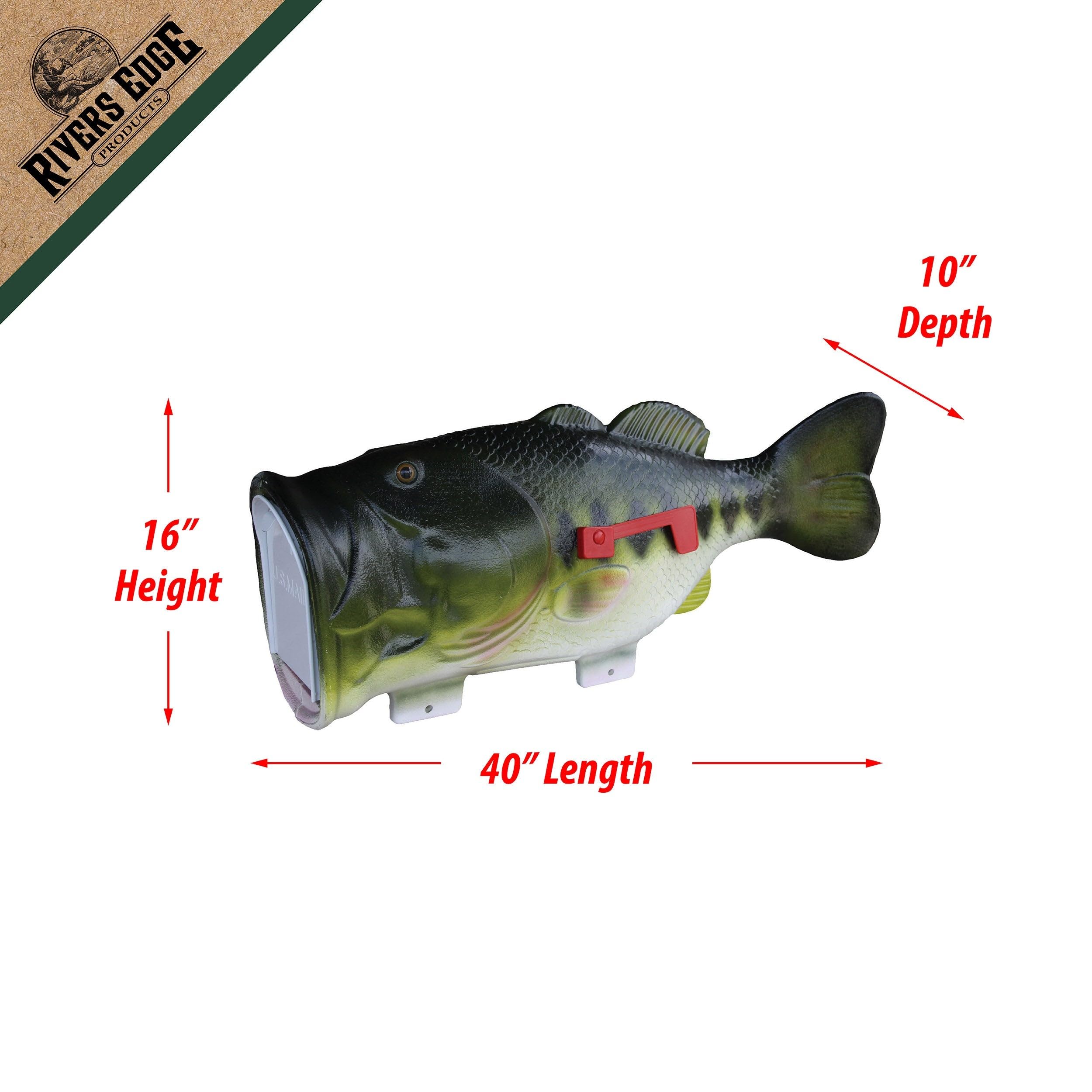 daiwa bg 1500 spinning reel Daiwa BG1500 BG Spinning Reel