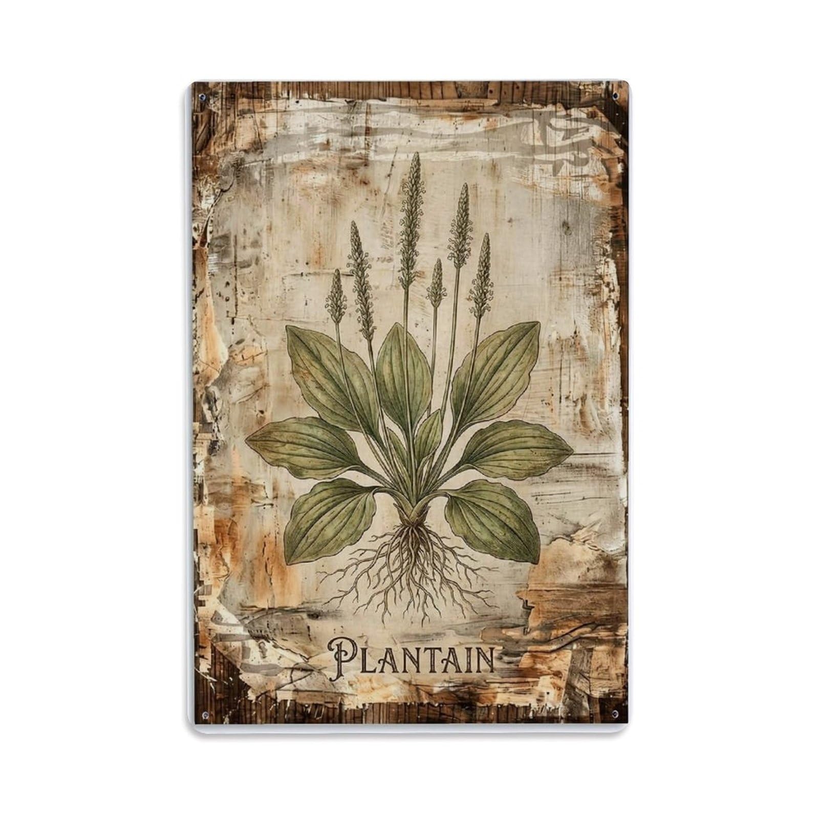 Fqnyr Style Plantain Wild Herb Metal Tin Sign Plaque Wall Decor For Cafe, Club Bar, Office, Home Garden Metal Poster 8X12inch