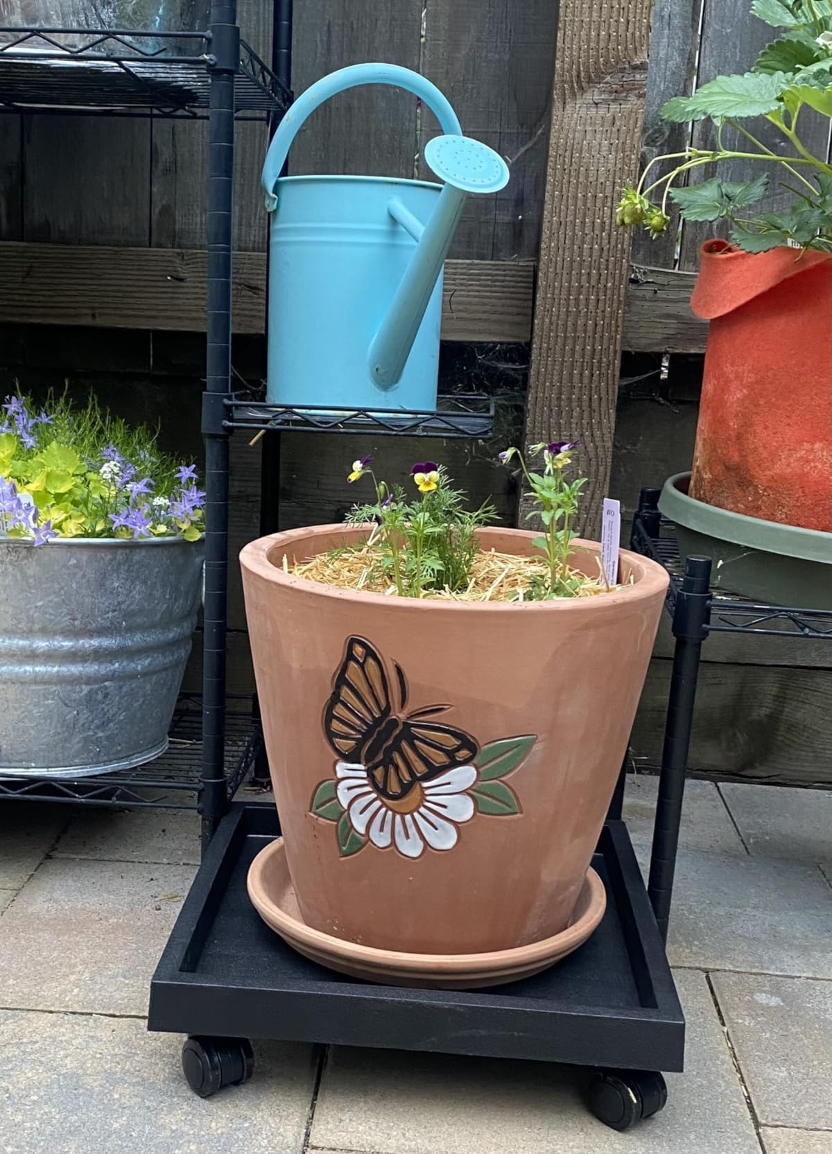 Quadratischer Rollpflanzen-Caddy mit Rollen, robuster Übertopf mit Rädern, für Topfpflanzen, Untersetzer, Rolluntersetzer, Untersetzer mit Rollen, Blumentopf-Halterung für drinnen und draußen