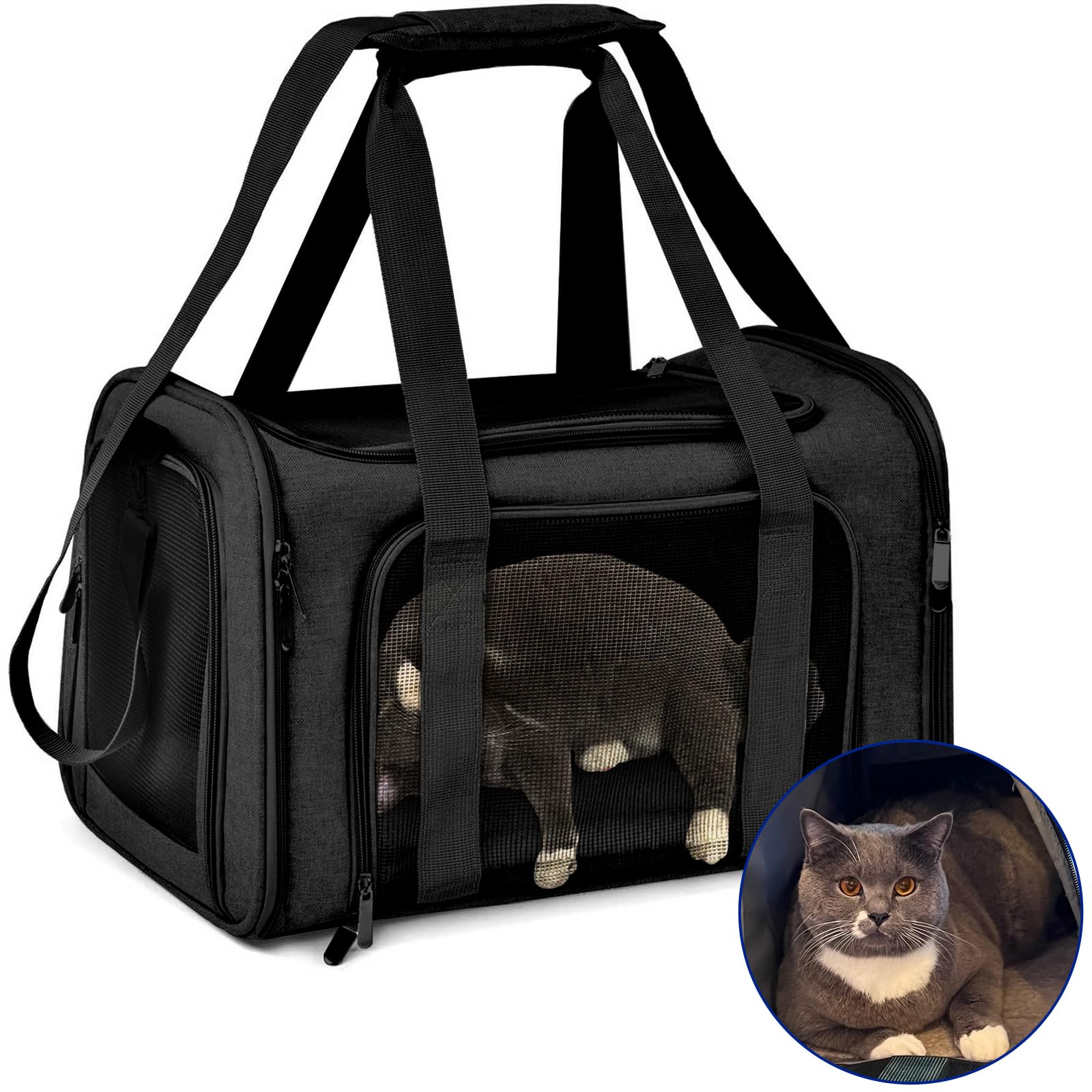 Transportadora Para Perro Betyked s Y Gatos, Back Pack Portátil