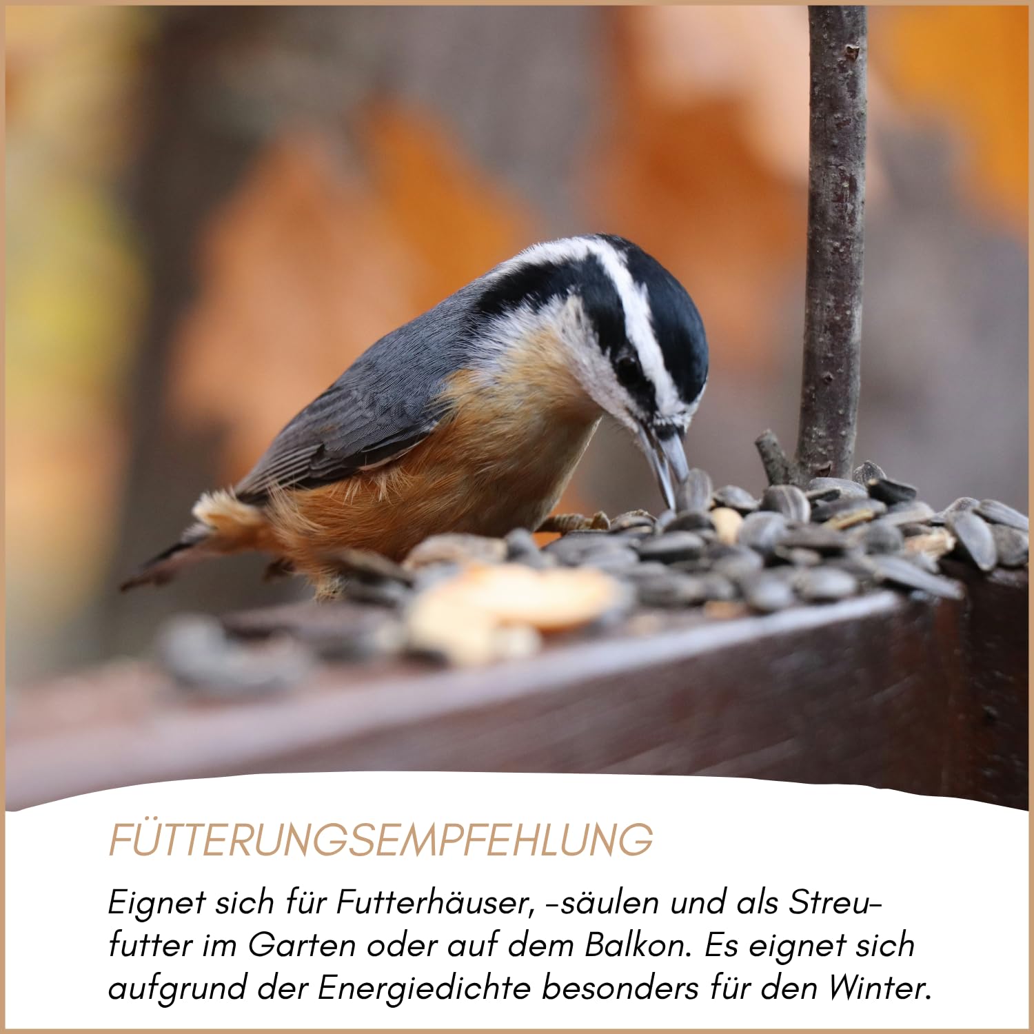 Supravit Balkonfutter für Wildvögel 25kg – Wildvogelfutter schalenfrei | Premium Sonnenblumenkernen, Erdnüssen, Haferflocken & Rosinen | Ganzjahres- & Winterfutter