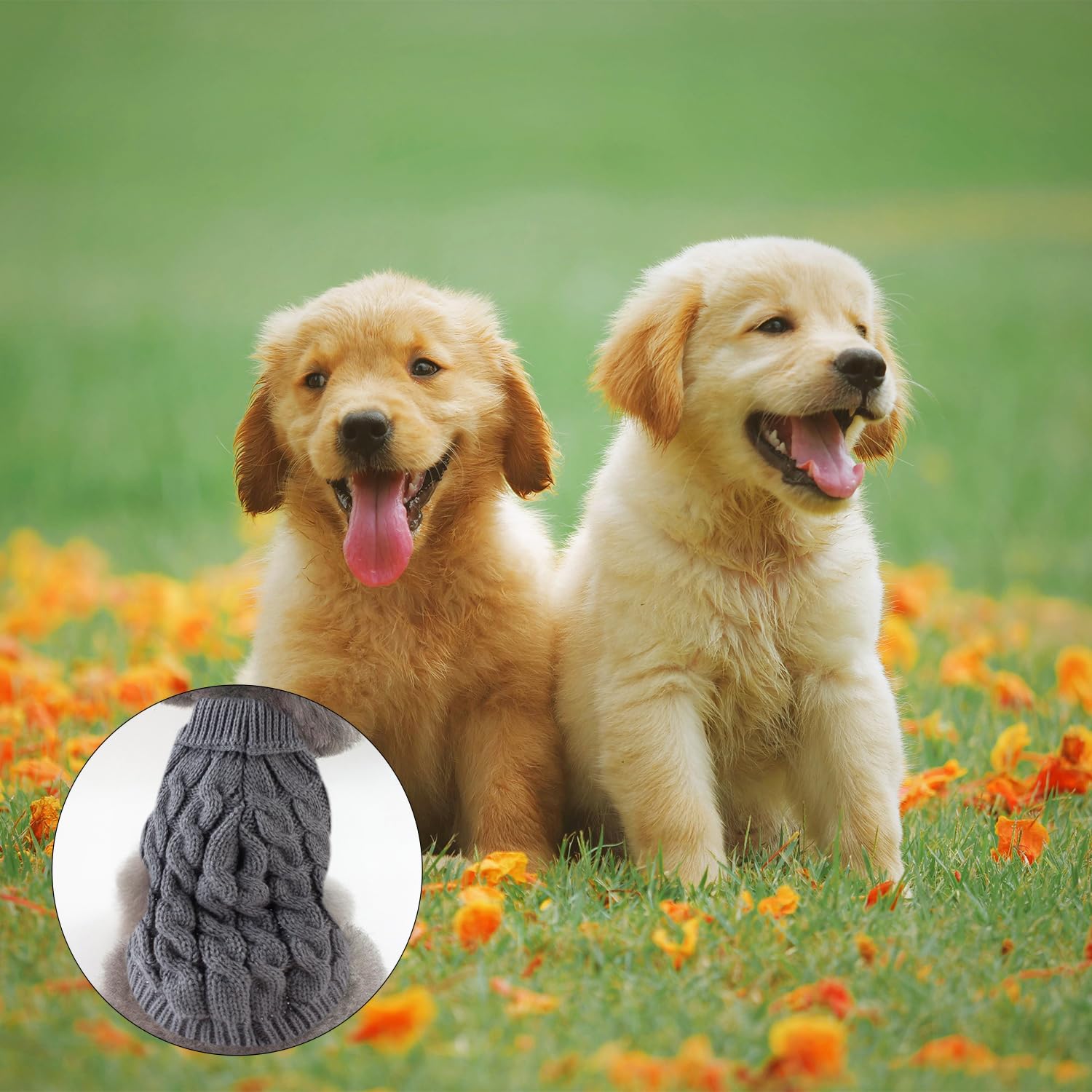 Rumyve Knitted Jumper and Warm Dog Sweater,Classic Turtleneck Knitted Dog Sweater,Dog Winter Clothing for Small and Medium Sized Dog Pet Clothing(S) - Image 4