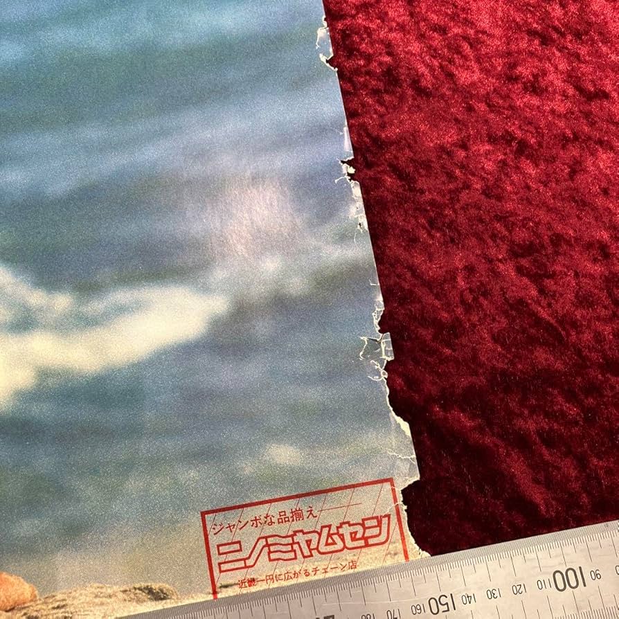 Amazon.co.jp: フローレンス芳賀？ ニノミヤムセン 1985年度