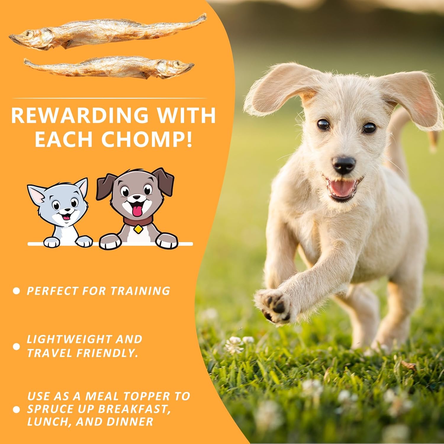 Freeze Dried Capelin with Roe Dogs Treats, Whole Fish for Dog & Cat - Single Ingredient, High Protein, Rich in Omega 3 for Skin & Coat Health, Grain-Free, Wild-Caught (6.4 oz)