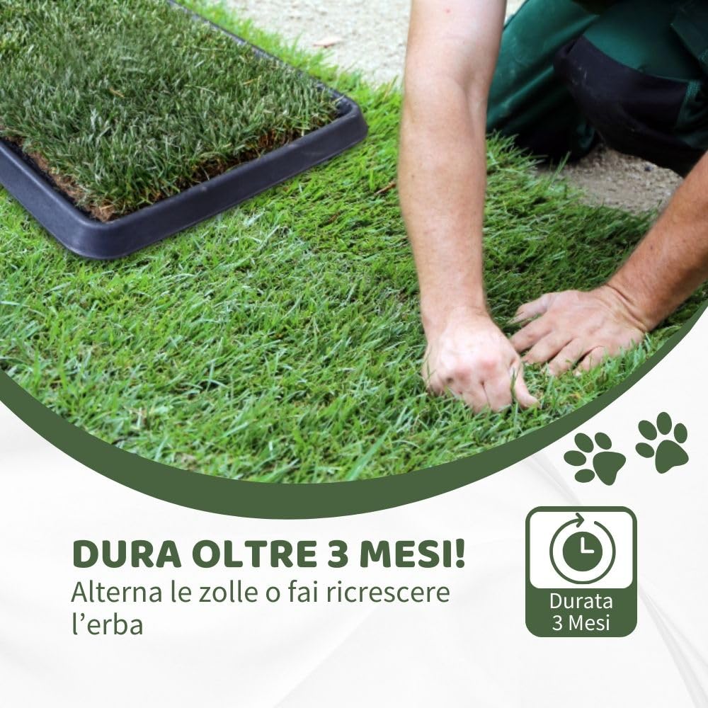 Kit XL cane PetZolla - Lettiera per cani in Vera Erba con Vassoio Riutilizzabile 100X90 cm, Traversine cane 100% Naturali e Atossiche, Toilette per cani in vero prato dura fino a 4 Settimane