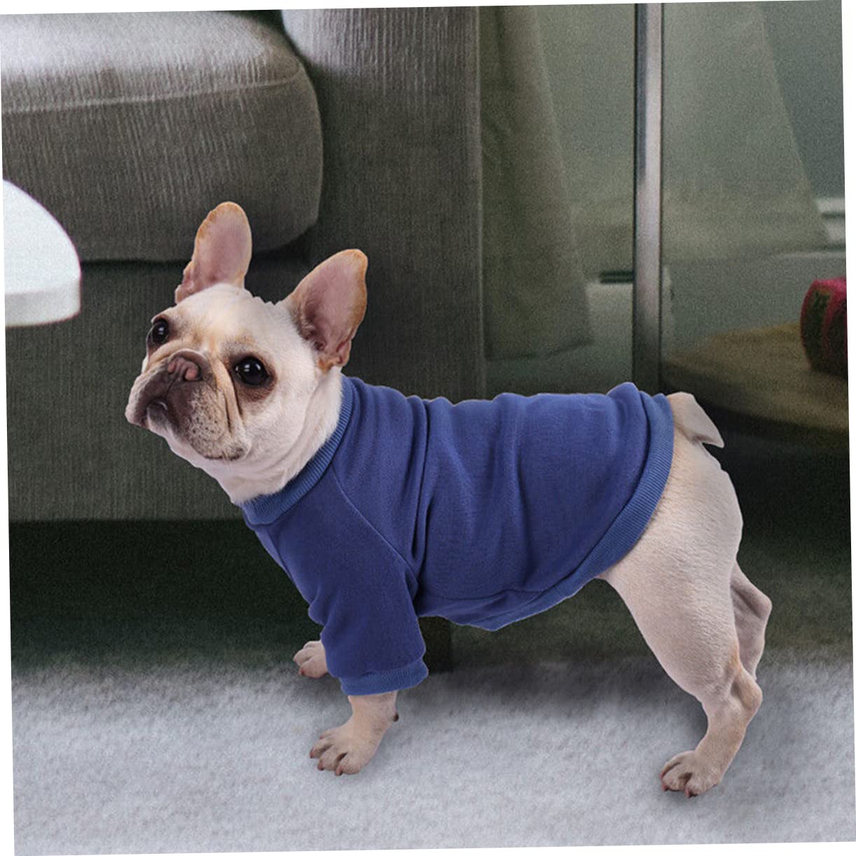 5 Pz Maglione Per Cani Felpe Con Cappuccio Per Ragazzi Cappotto Da Cucciolo Arredamento Coniglietto Caldo Maglione Per Gatti Giacche Da Ragazzo Natale Poliestere Animale Domestico